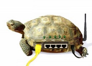 Интернет-черепаха